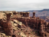Moab-White Rim 4-08 024